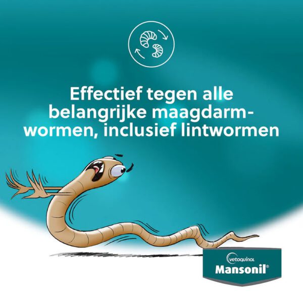 Mansonil Hond - 6 Ontwormingstabletten - Afbeelding 3