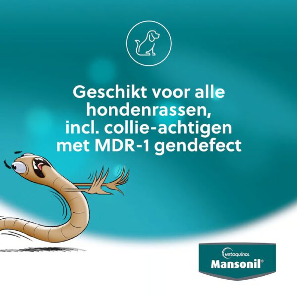 Mansonil Kat - 2 Ontwormingstabletten - Afbeelding 3