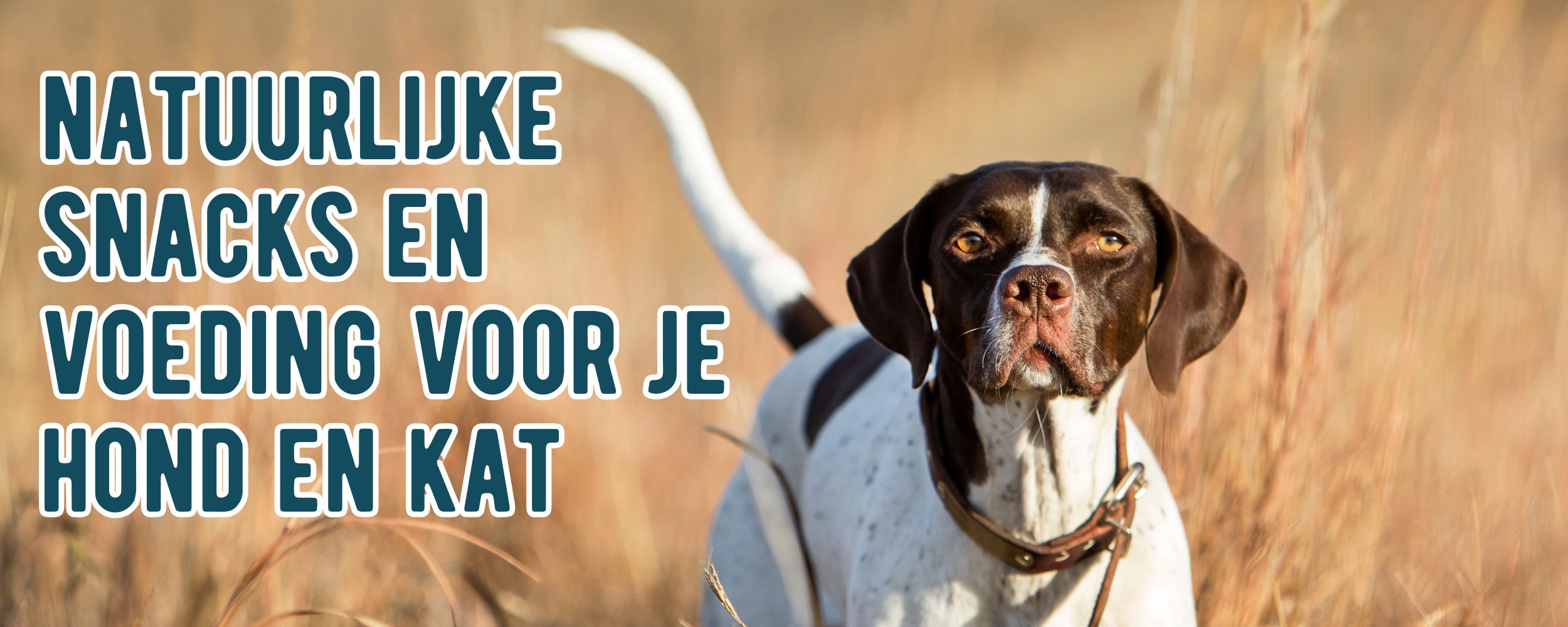 natuurlijke dierenvoeding snacks hond